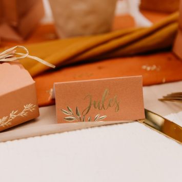 10 Marque-Places - Collection Jolis Brins - Terracotta et Or