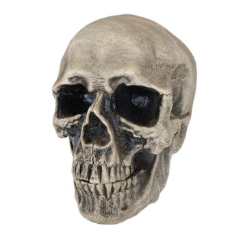 Tête de mort en plastique à poser