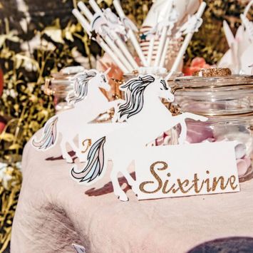 8 Marque-Places - Collection Licorne Pastel