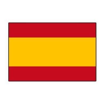 Lot de 10 drapeaux - Espagne