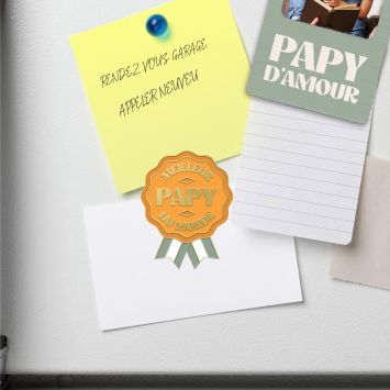 Magnet en forme de médaille "Meilleur Papy du monde" - Collection Papy d'Amour