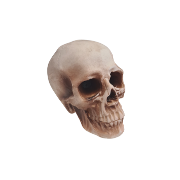 Cette tête de mort est à poser sur une table en tant que décoration d'Halloween | jourdefete.com