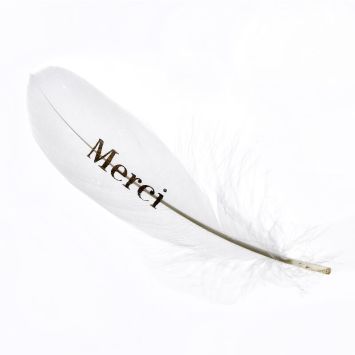 plume-or-merci-decoration | jourdefete.com