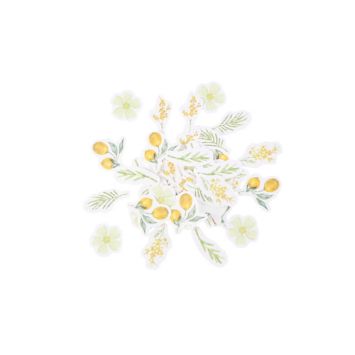 Assortiment de 100 Confettis de la collection Mimosa