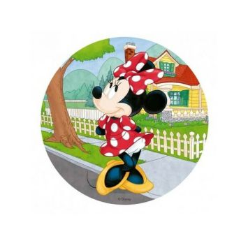 anniversaire disque azyme minnie | jourdefete.com