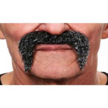 Moustache Poivre et Sel