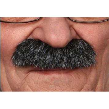 Moustache "Brosse" - Noir méché blanc