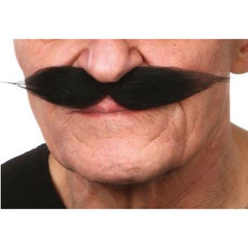 Moustache "Polonais" - Noir 