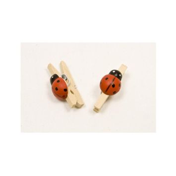 12 Pinces en Bois Coccinelle