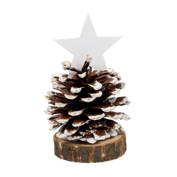 porte-nom pomme de pin avec etoile | jourdefete.com