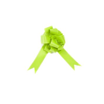 2 Nœuds à Tirer Vert Menthe - 35cm