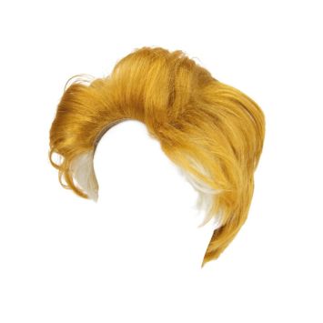 Perruque du Président Donald Trump pour homme