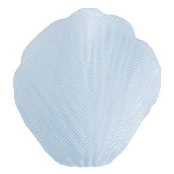 petale-bleu-ciel-fleurs|jourdefete.com