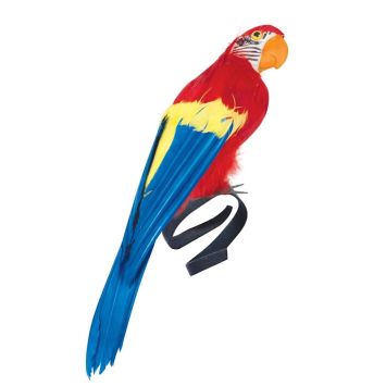 Perroquet coloré pour compléter un déguisement de pirate | jourdefete.com