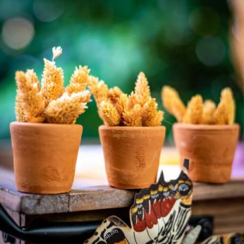 Pot Madiun en terre terracotta