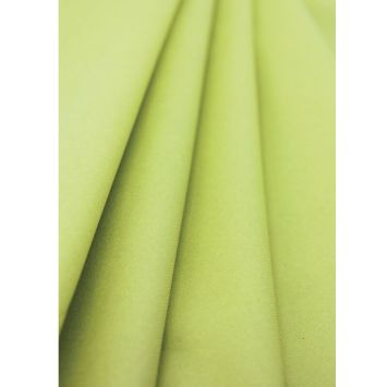 Rouleau de Nappe Airlaid Structure Vert pomme - 10 m | jourdefete.com