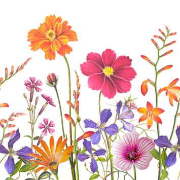 20 serviettes en papier - 33 x 33 cm - Atelier "Jardin Botanic"