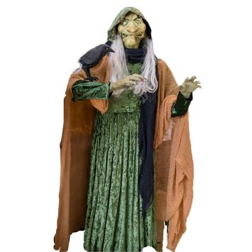 Une terrifiante sorcière avec son corbeau qui s'animent et terrifient toute la salle | jourdefete.com