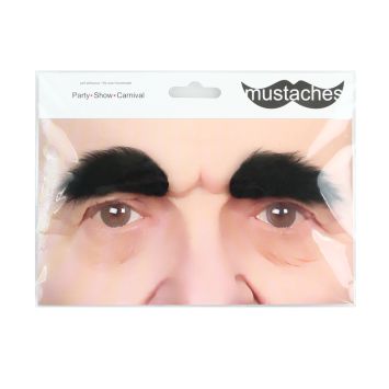 Paire de Sourcils Noirs Épais