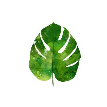 serviettes-cocktail-philodendron | jourdefete.com