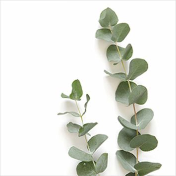 Serviettes élégantes motif feuilles vertes | jourdefete.com