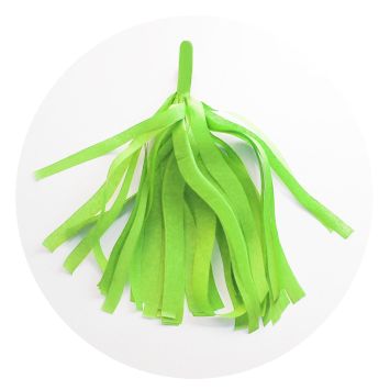 Guirlande 5 tassels - Vert pomme