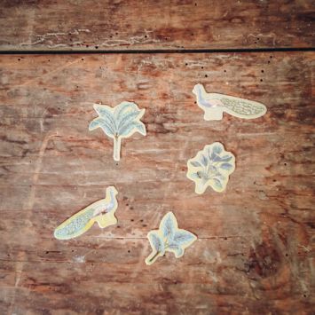 Assortiment de 100 Confettis - Collection Tropical Peacock