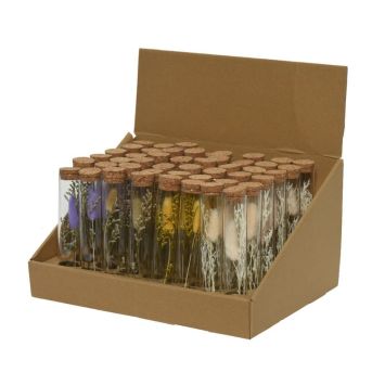 Tube en verre avec fleurs séchées - 18 cm - Couleur au choix