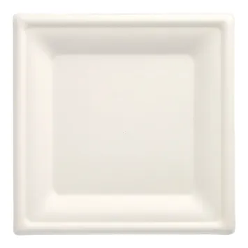 Assiette écologique en canne à sucre blanche 20 cm x 20 cm, parfaite pour les événements | jourdefete.com