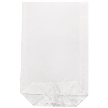 10 sachets transparents - 11,5 x 19 cm