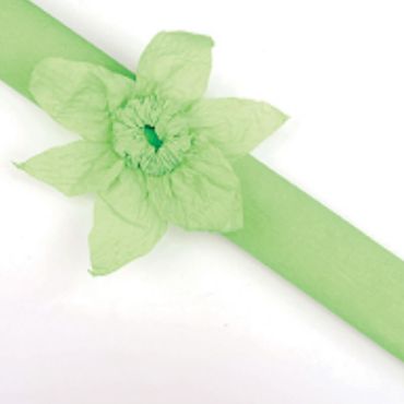 Rouleau papier crépon 10m – Vert Anis Rouleau papier crépon 10m – Vert Anis