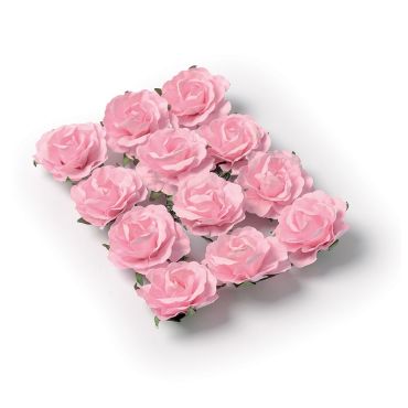12 Roses Roses sur Tige 12 Roses Roses sur Tige