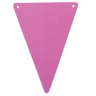 5 Fanions en Carton Unis - Fuchsia