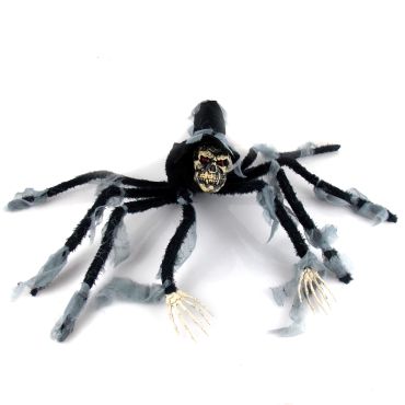 Araignée sorcière noire Araignée sorcière noire