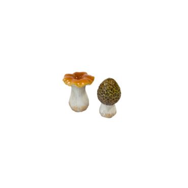 assortiments 2 champignons en resine modele aleatoire | jourdefete.com assortiments 2 champignons en resine modele aleatoire | jourdefete.com