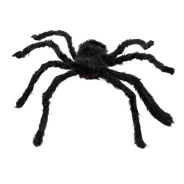 Araignée Noire Velue Araignée Noire Velue