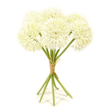 bouquet-tete-ail-raffia-blanc|jourdefete.com bouquet-tete-ail-raffia-blanc|jourdefete.com