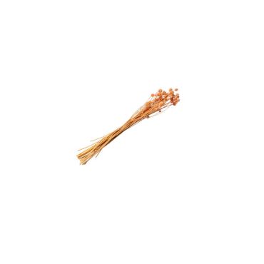 bouquet-fleur-sechee-rose|jourdefete.com bouquet-fleur-sechee-rose|jourdefete.com