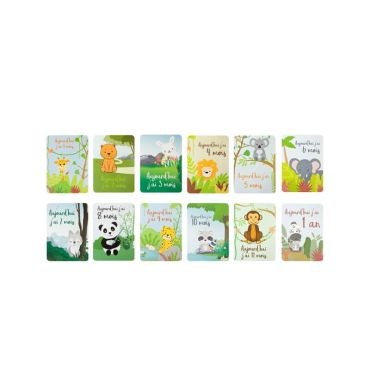 12 cartes d'évolution bébé première année | jourdefete.com 12 cartes d'évolution bébé première année | jourdefete.com