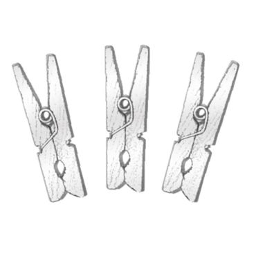 12 Petites Pinces en Bois Argent