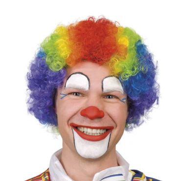 perruque clown multicolore | jourdefete.com perruque clown multicolore | jourdefete.com