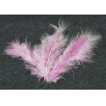 20 Plumes Décoratives - Rose 20 Plumes Décoratives - Rose