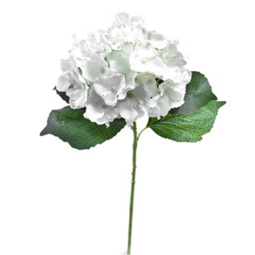 fleur-hortensia-tige-blanc-feuilles|jourdefete.com fleur-hortensia-tige-blanc-feuilles|jourdefete.com