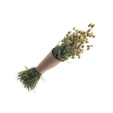 Bouquet de fleurs phalaris naturelles de 130 grammes | jourdefete.com