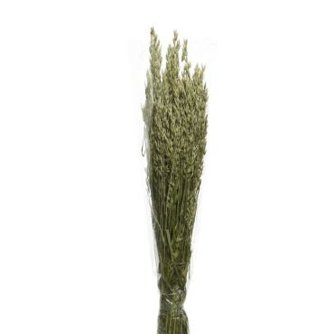 Bouquet d'herbes séchées - Modèle Aléatoire Bouquet d'herbes séchées - Modèle Aléatoire