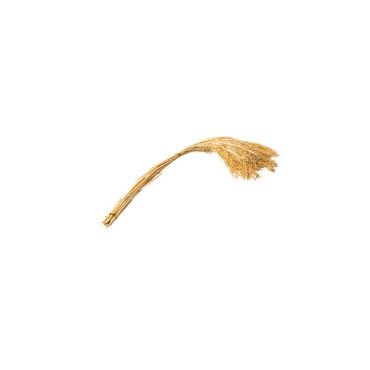 herbes-sechees-bouquet-naturel|jourdefete.com herbes-sechees-bouquet-naturel|jourdefete.com