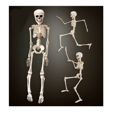 squelette en plastique de 50 cm | jourdefete.com squelette en plastique de 50 cm | jourdefete.com