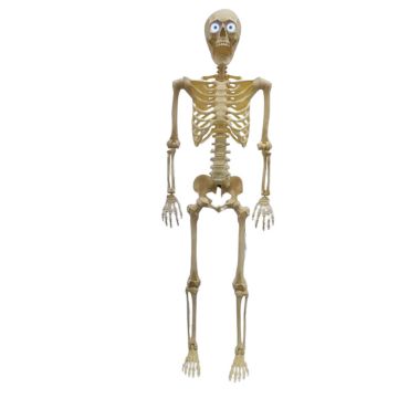 Squelette animé Halloween sur pieds avec yeux lumineux 152 cm | jourdefete.com Squelette animé Halloween sur pieds avec yeux lumineux 152 cm | jourdefete.com