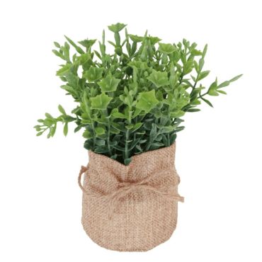 plante-verte-decoration-vegetal|jourdefete.com plante-verte-decoration-vegetal|jourdefete.com
