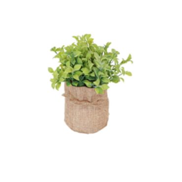 plante-grasse-decoration-mariage|jourdefete.com plante-grasse-decoration-mariage|jourdefete.com